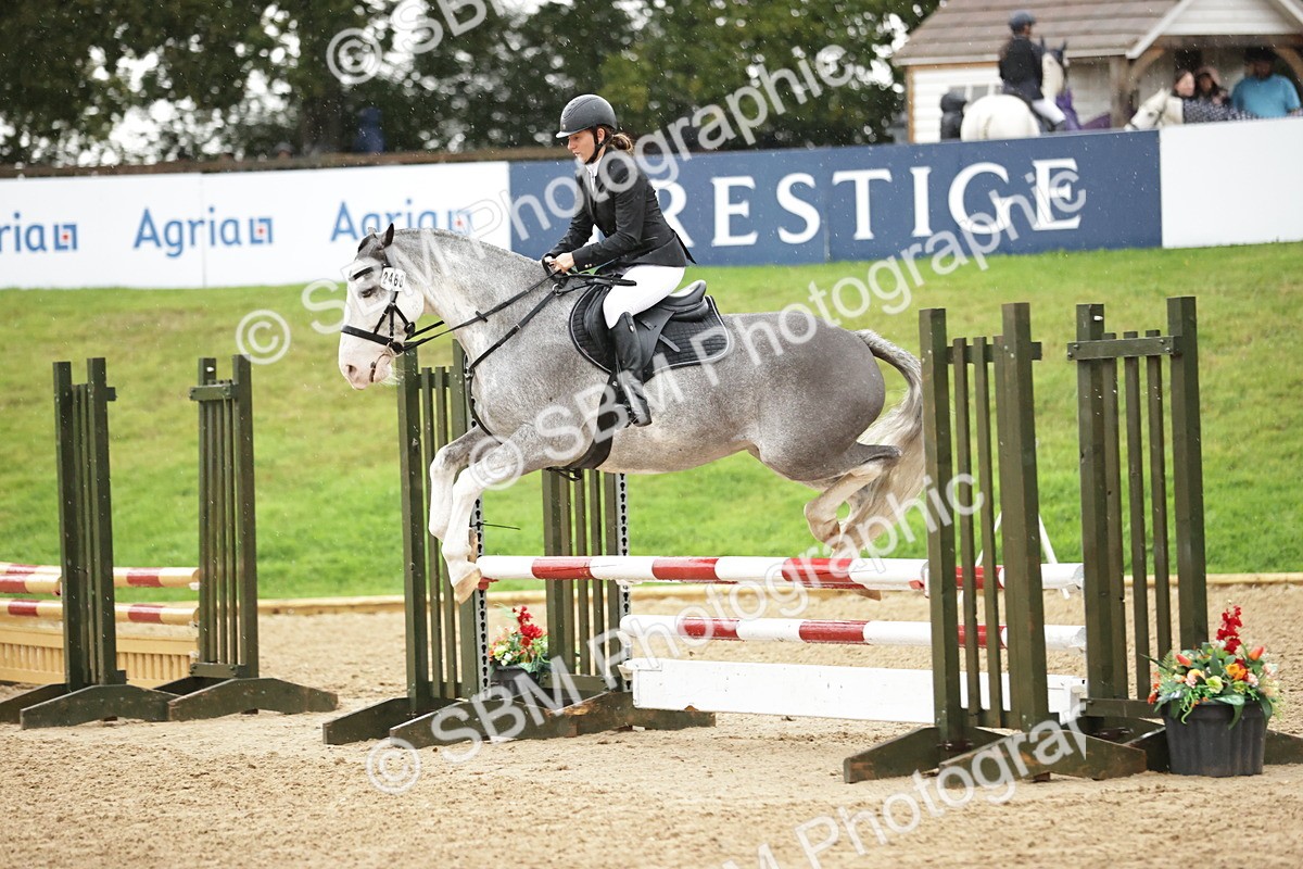 SBM_33147 - J38 - Senior Horse & Pony 80cm Championship