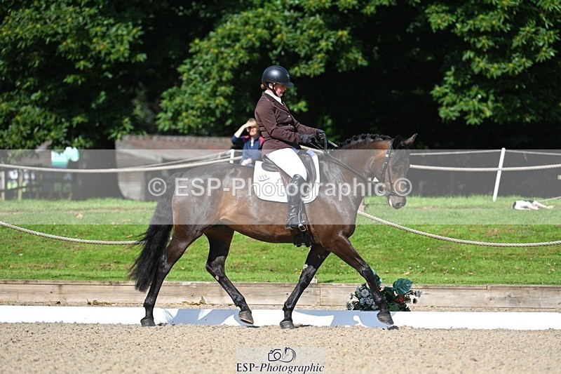230811-095624-00184 - Cls 3 Adv Medium Bronze Start to 10.25 break