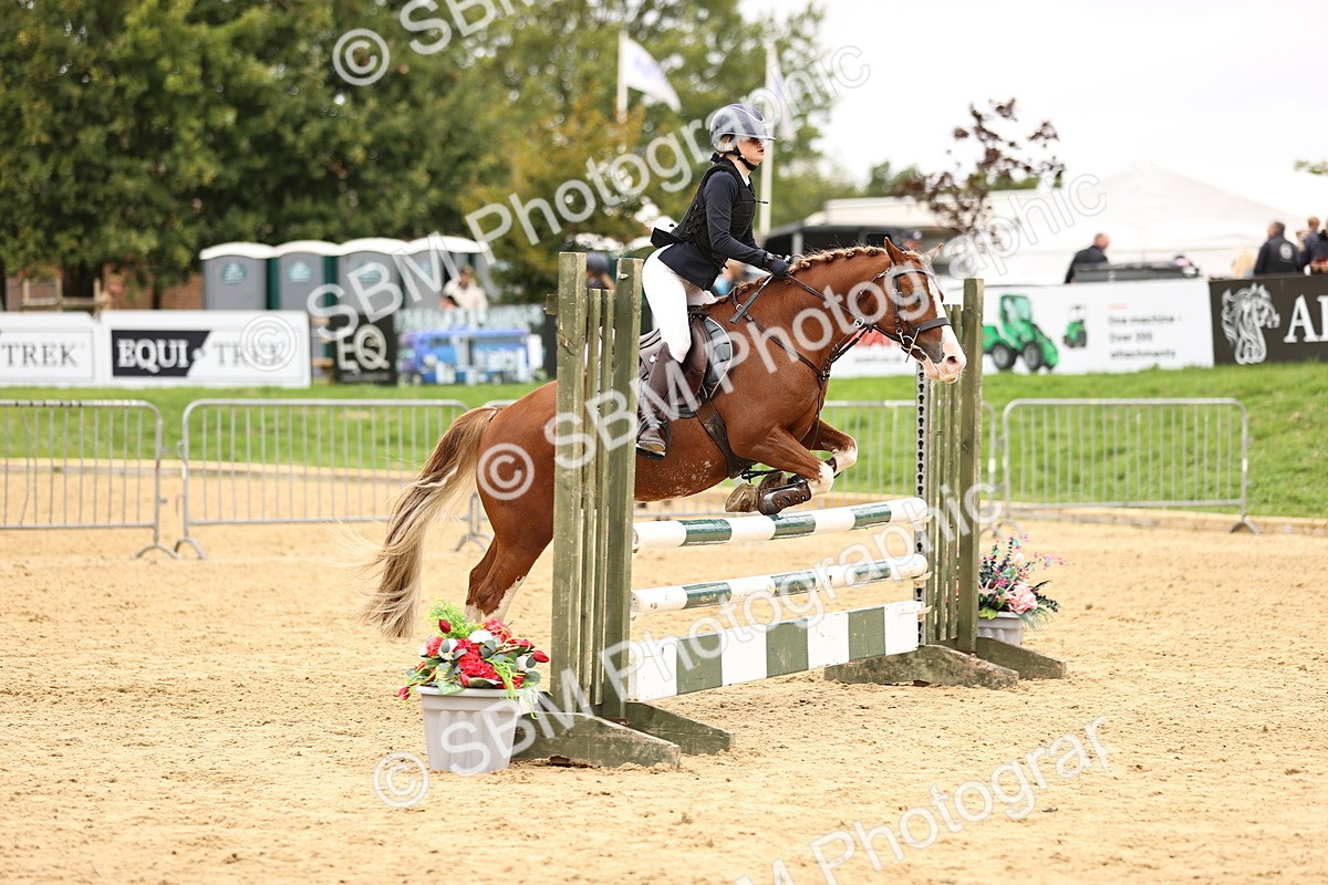 SBM_64864 - J17 - Junior Pony 80cm Championship