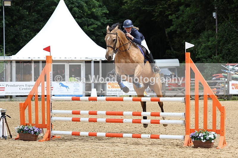 3E7A6297 - Class 4: Senior British Novice/90cm open