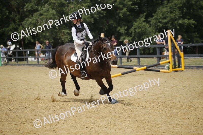 20250622-4158 - 50cm