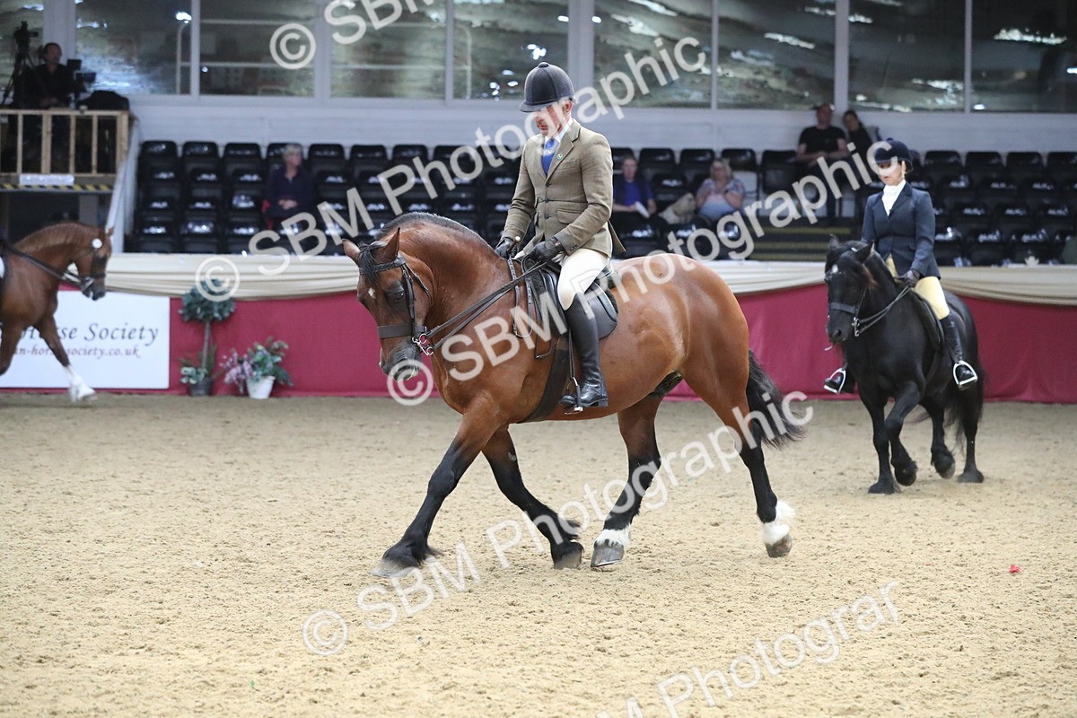 SBM_16359 - Class 502 M&M Ridden Supreme Final