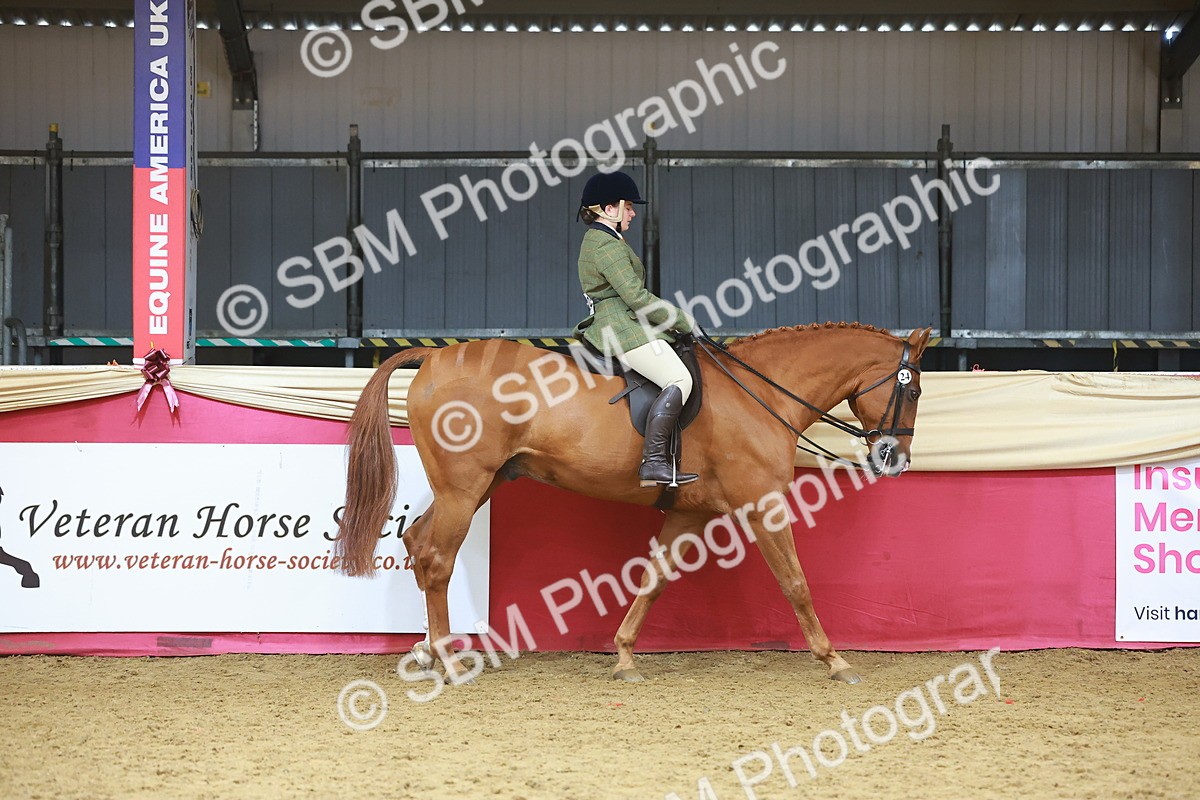 SBM_09594 - Class 102 - HOYS Veteran Qualifier - Ridden Veteran