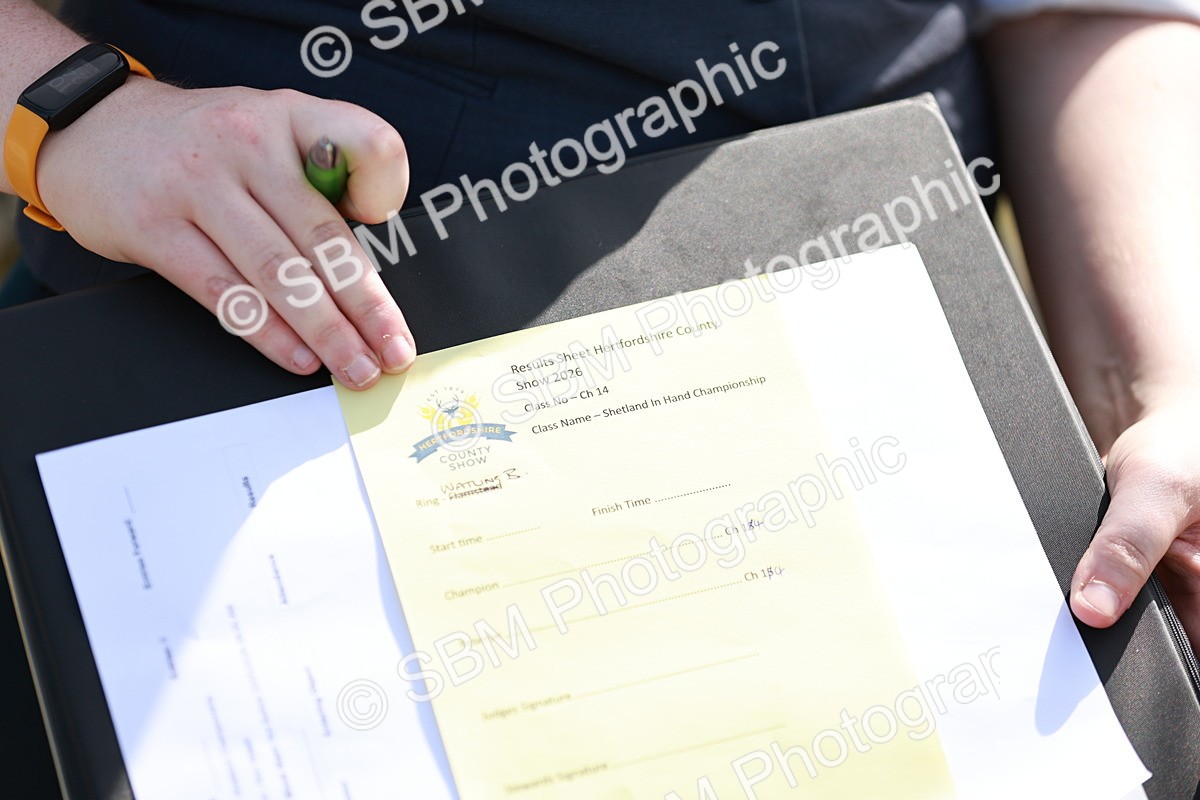 SBM_02441 - Class 14-23 - Mountain & Moorland In Hand Non Welsh