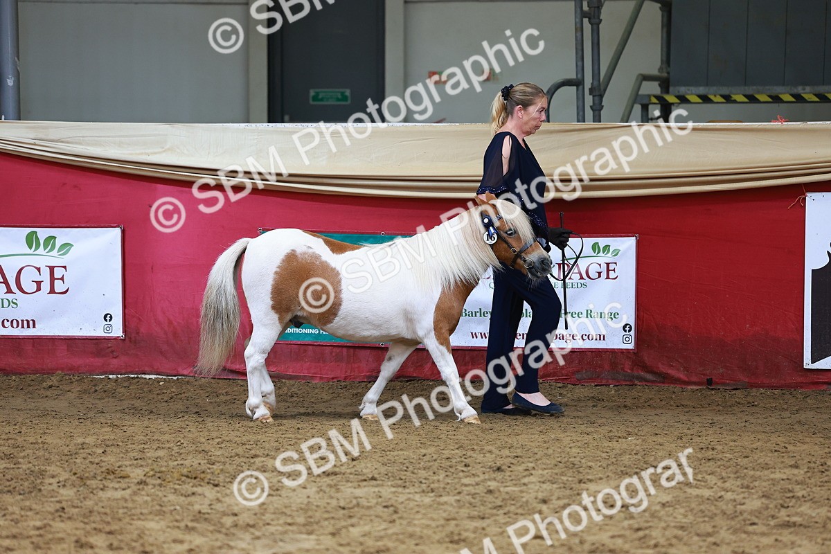 SBM_18406 - Class 903 - Sup Final - IH Pre Vet
