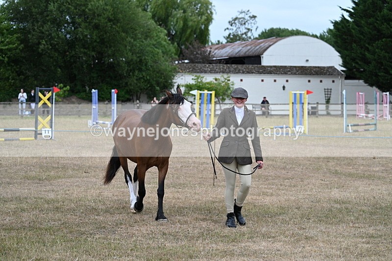 WJ7_8458 - Class 4 Prettiest Mare up to 14.2hh