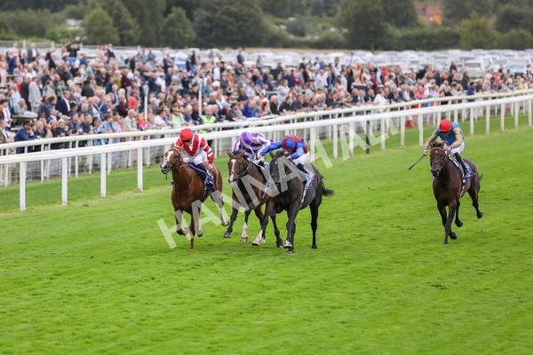 210824-Race 3-Los Angeles-7254 - Race 3 3.00pm Sky Bet Great Voltigeur Stakes