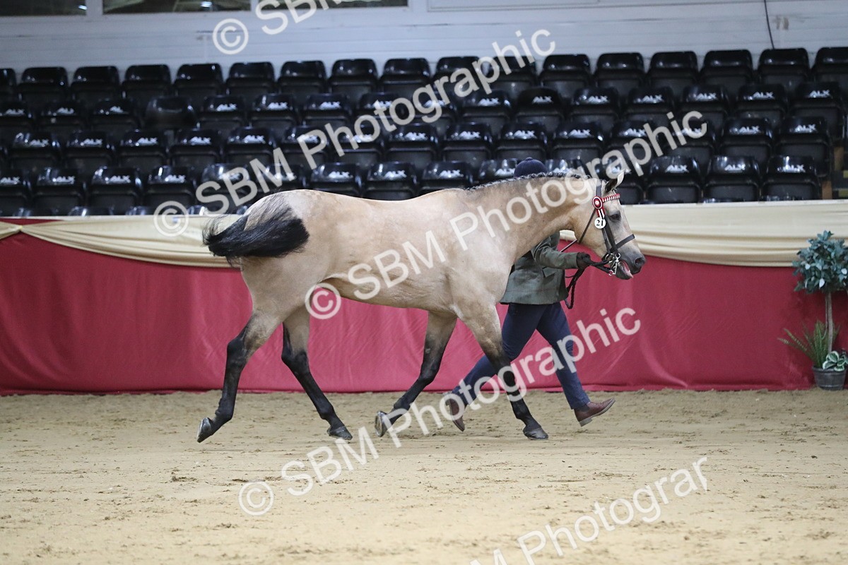 SBM_05016 - Class 8R- Regional -IH Veteran