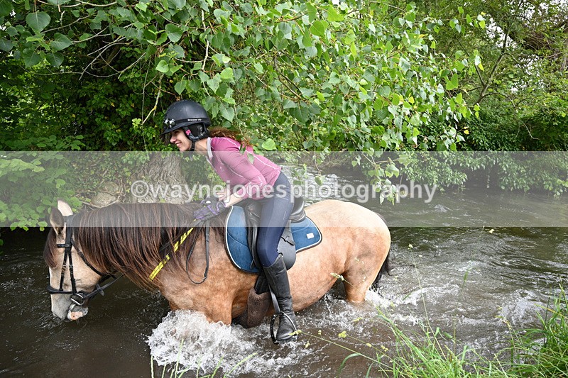 WJ7_2043 - Camera 2 Water Crossing