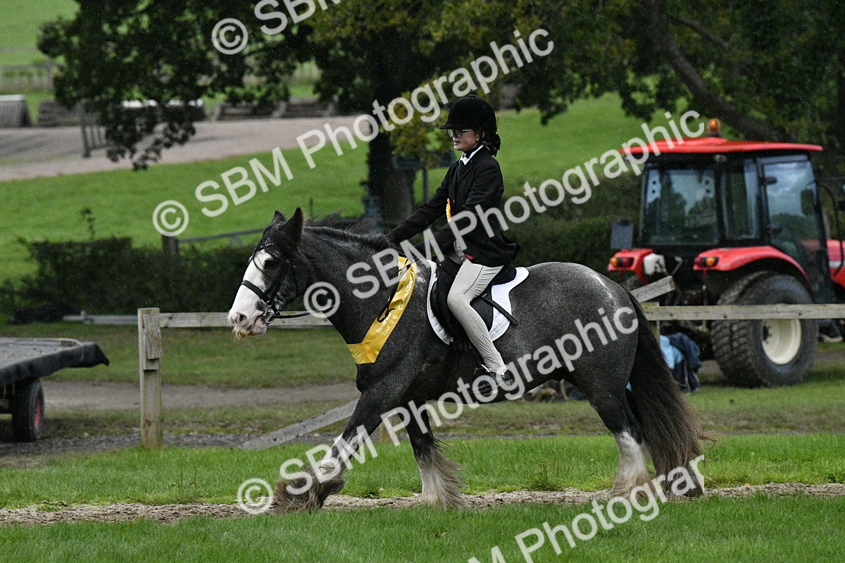 SBM_53327 - S14 - Riding Club Horse