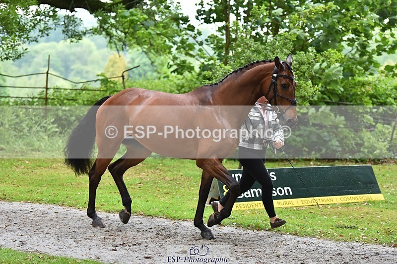 240522-165328-01230 - 276-FOURFIELDS_WONDER_WOMAN-Heidi_Coy