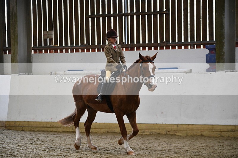 WJ5_6384 - Class 9 Ridden Veteran