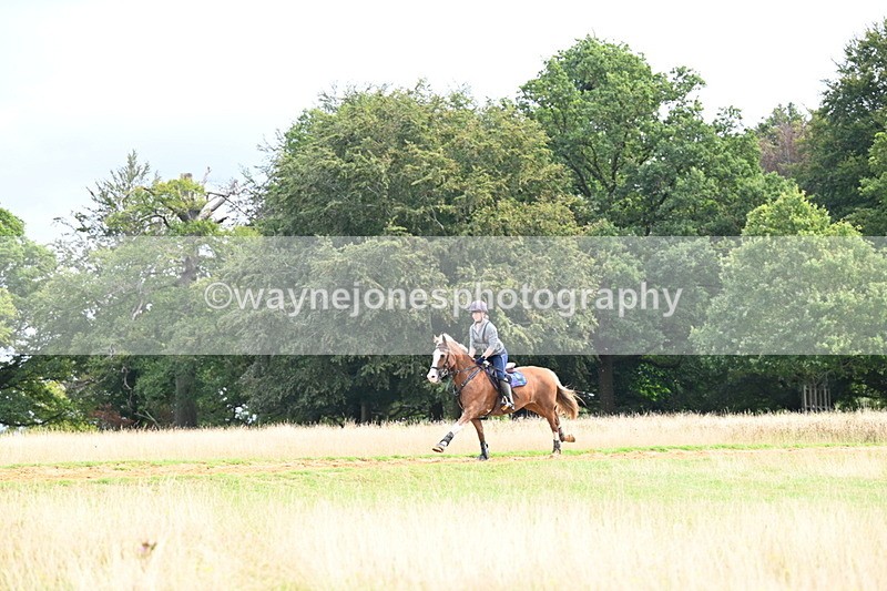 DSC_4542 - Time at Statue 09:50 to 11:09