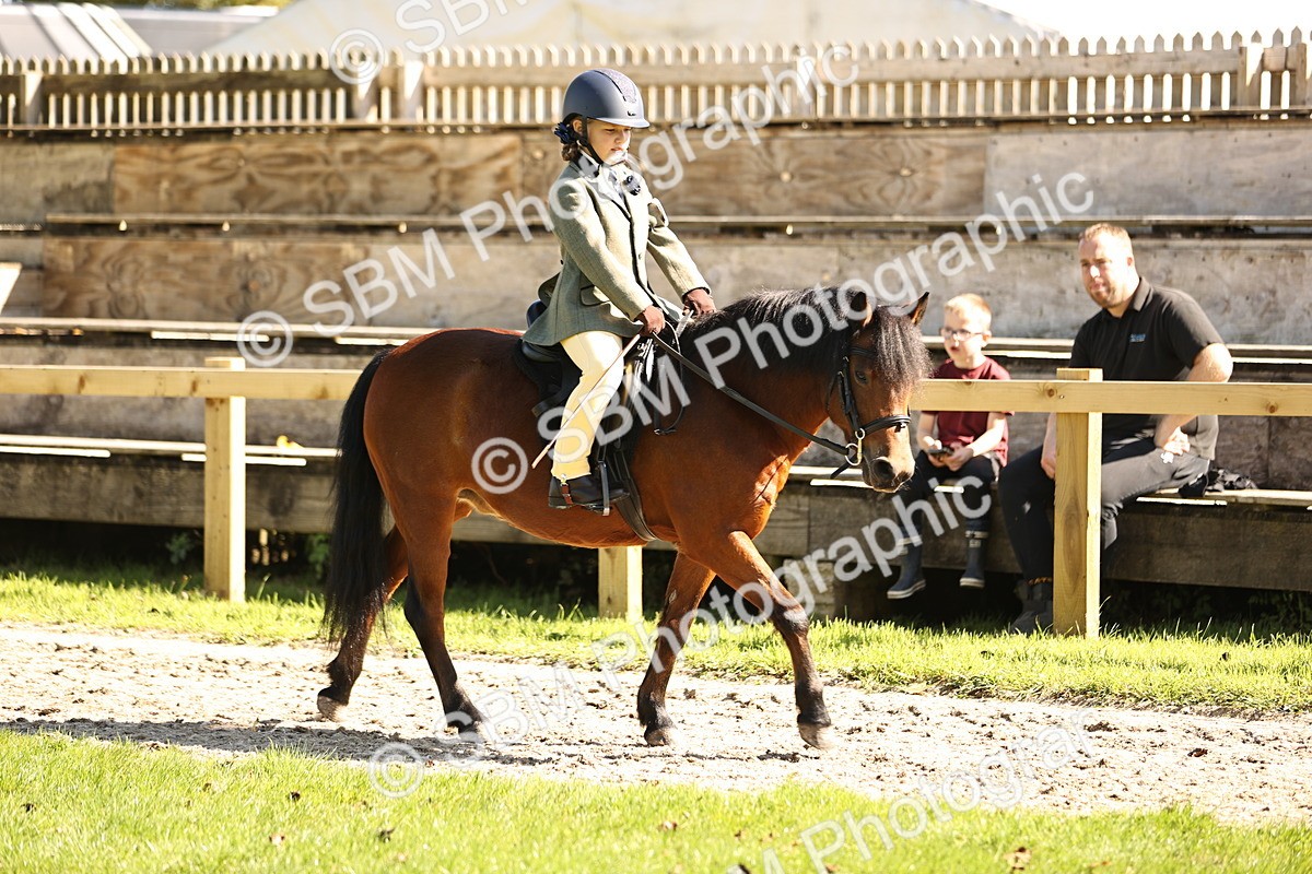 SBM_19244 - S3 - TSR Ridden Pony Showing