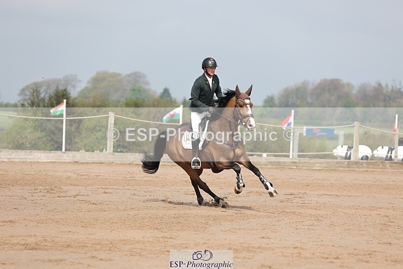 250424-103417-03101 - Cls 33 Young Horse 7yr old