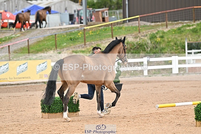 250423-140306-00917 - 2pm to 3pm