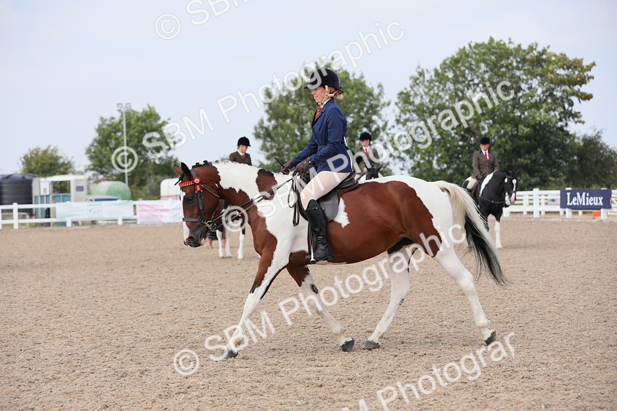 SBM_13447 - Class 308 Ridden Coloured Horse