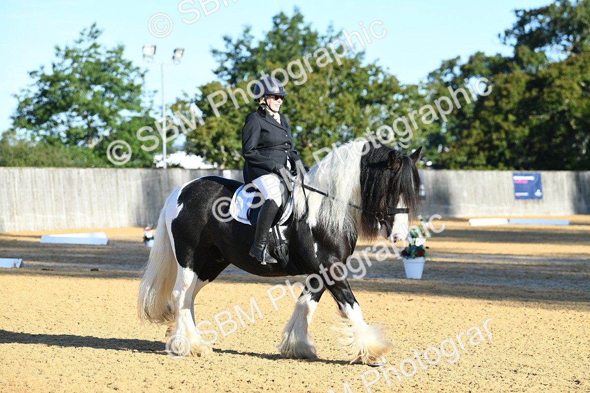SBM_14481 - D4 - Small Tour Championship - Intro B
