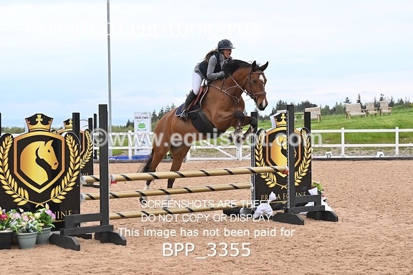 BPP_3355 - CLASS 13 - SAT - SENIOR BRITISH NOVICE / 90CM OPEN