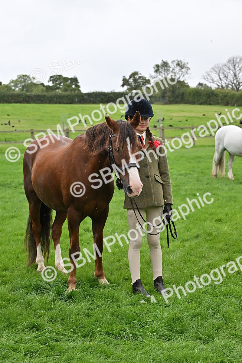 SBM_68601 - S42 - Junior Handler 9-12 Years