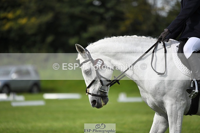 230826-104625-15597 - Sections C & D 10 to End