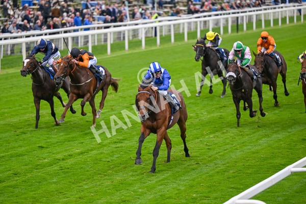 101025-Race 3-Mukhtalif-6415 - Race 3 William Hill Each Way Extra Handicap at York