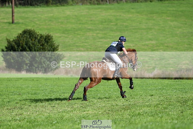 251024A-131812-11984 - B-154-Holly.Law