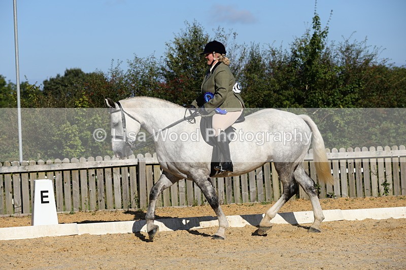1X9A7654 - Class 7: Novice Ridden Hunter/Hack/Cob/Riding Horse