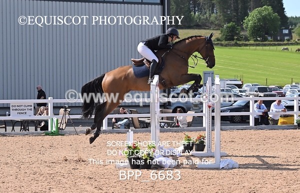 BPP_6683 - CLASS 13 FRI HOYS Talent Seeker Qualifier Inc 7 Year Old Horse Championship Qualifier