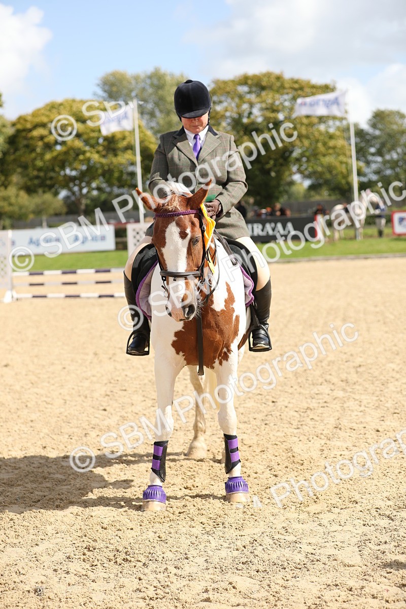 SBM_05834 - J35 - Veteran Rider 60cm