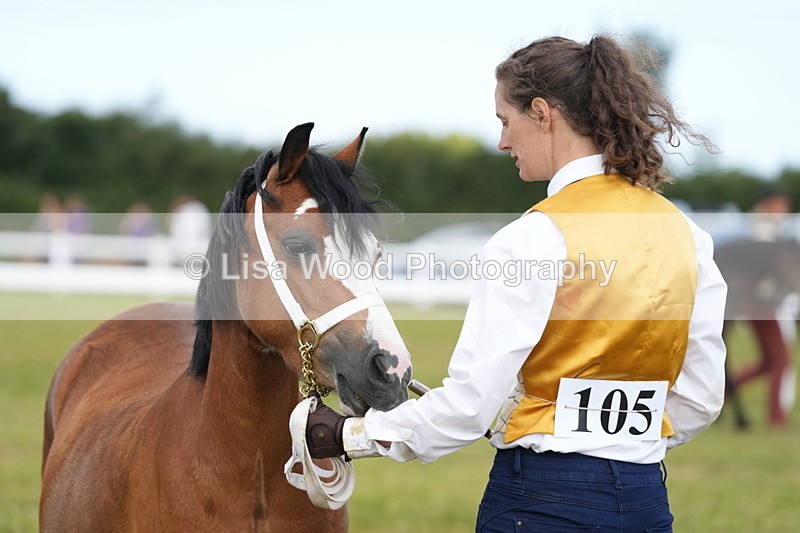 DSC05541 - Class 50: NPS M&M 4 years and over Small Breeds