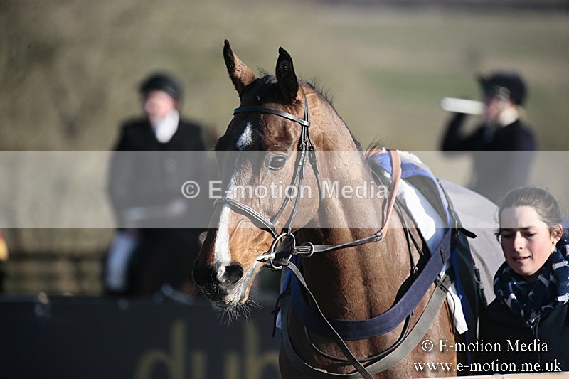 PtP 240218 626 - Vine & Craven Hunt Point-to-Point Barbury racecourse 24/02/18