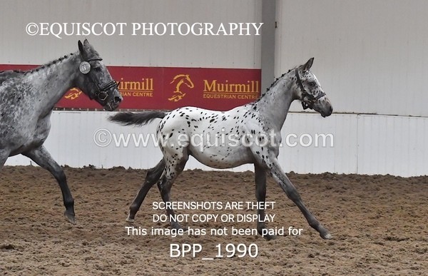 BPP_1990 - AFTERNOON 12.30 - 3.30PM