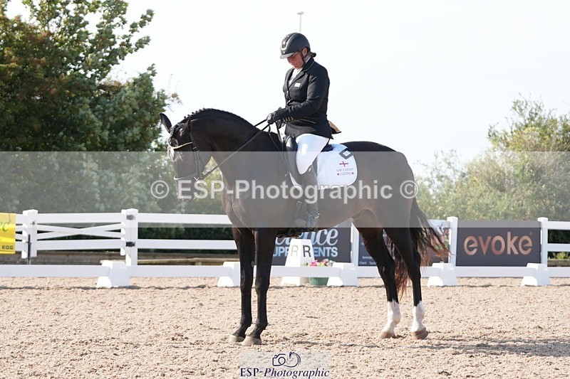 250906-162808-05051 - 123-Sam.YorkOakring.Santino