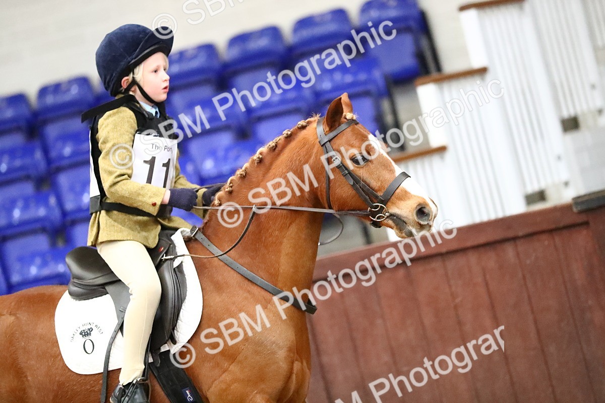 SBM_000648 - Class 2 - 40cm