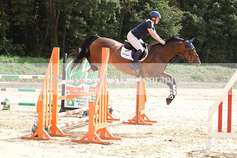 3E7A1912 - Class 9: Senior Foxhunter/1.20 open