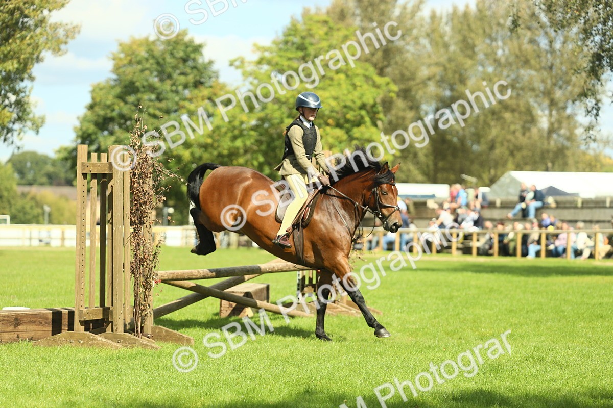 SBM_42984 - S30 - M&M Working hunter Pony