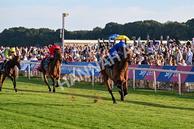 240726-Race 5-Diamond Rain-5486 - Race 5 19.50pm British EBF Lyric Fillies' Stakes