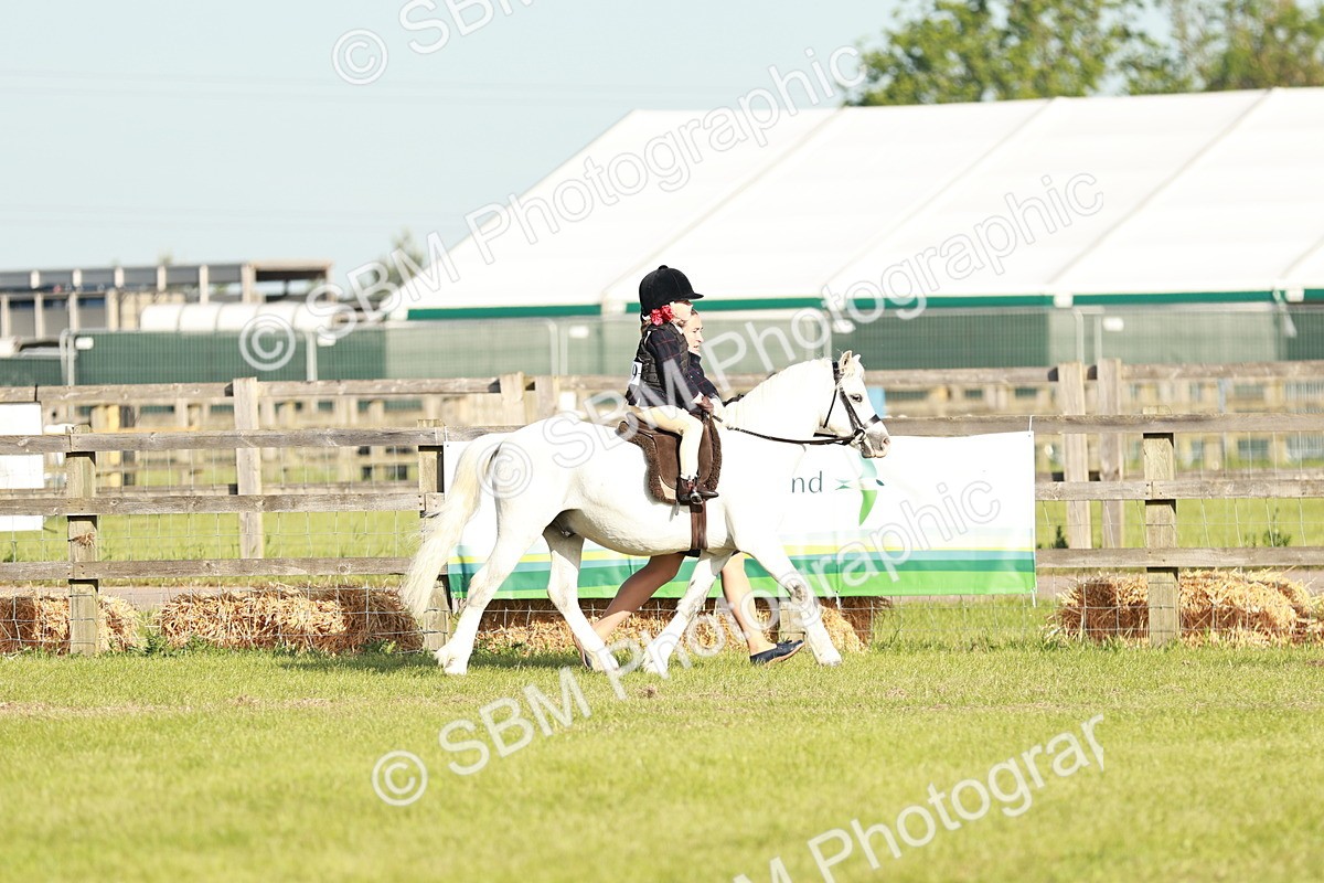 SBM_11024 - Class 106-107 - BSPS LIHS Working Sports Pony