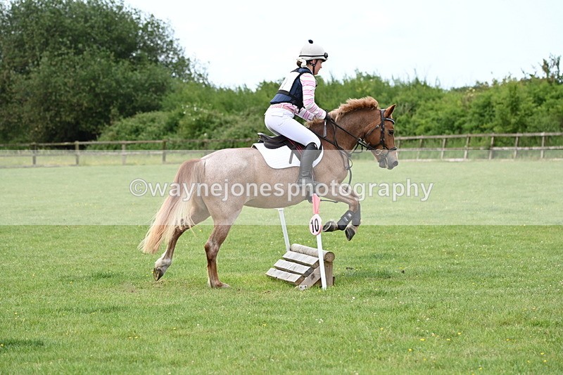 WJ6_2466 - Class 2 40cm