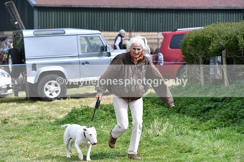 WJ5_0471 - Class 7 Best Terrier