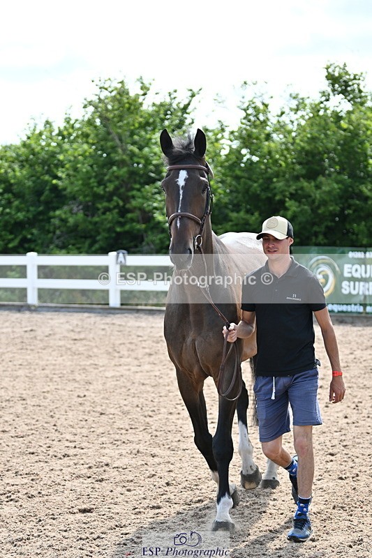 240717A-155429-03168 - Trot Up 3pm to 4pm