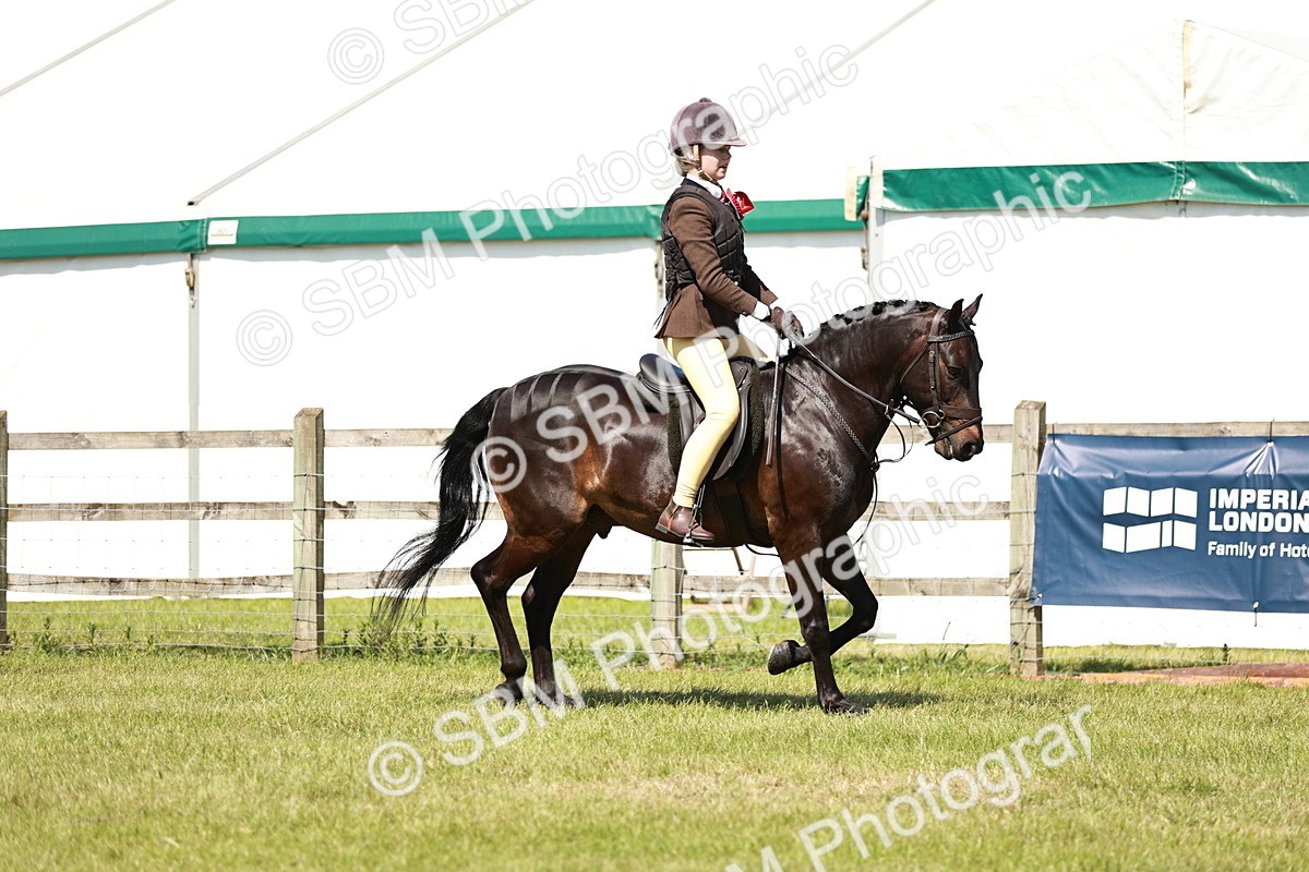 SBM_17678 - Class 112-113 - BSPS LIHS Working Sports Pony