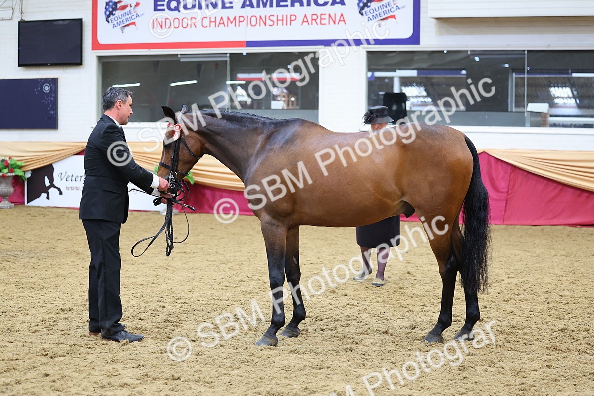 SBM_22712 - Class 903 - Supreme Final - IH Pre Vet