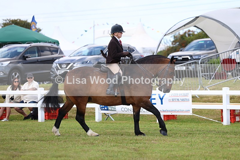 3E7A9694 - Class 5: Rising Star Lightweight/Heavyweight Cobs