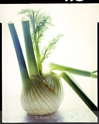 Fennel - Food