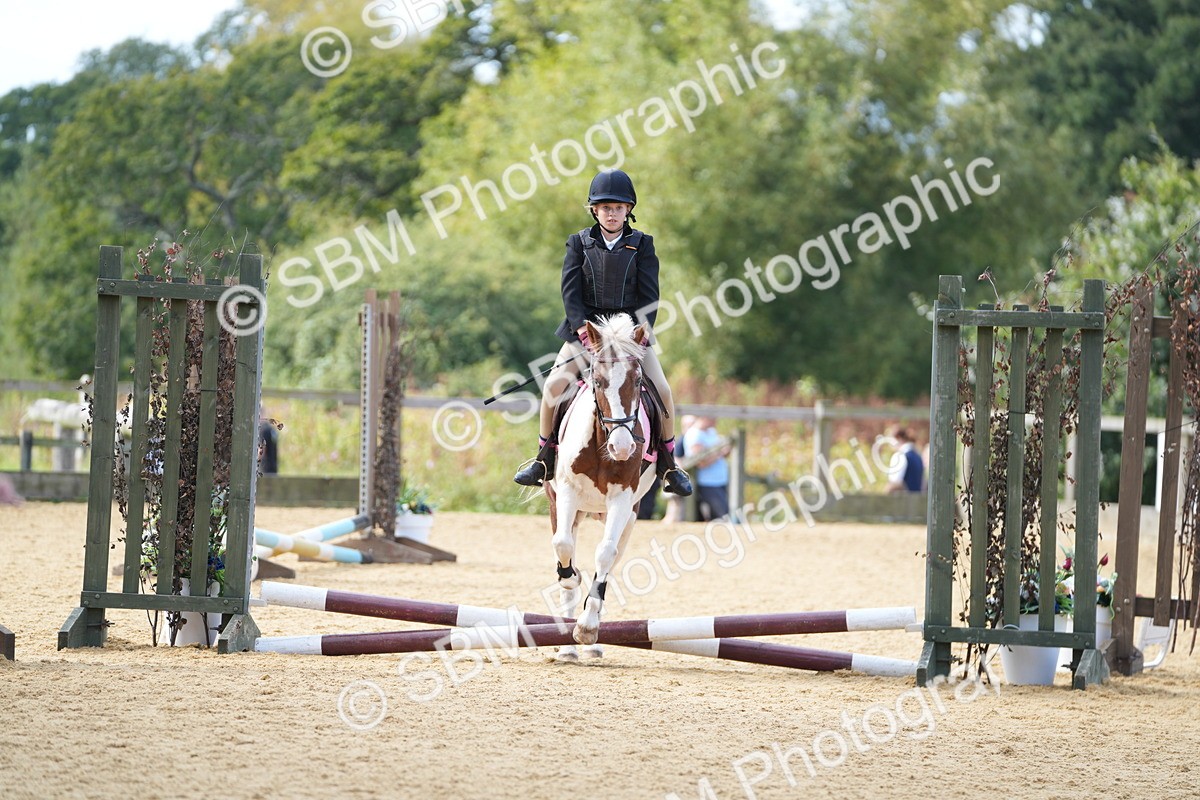 SBM_64408 - J2 - Mini Tour Junior Pony 30cm Championship