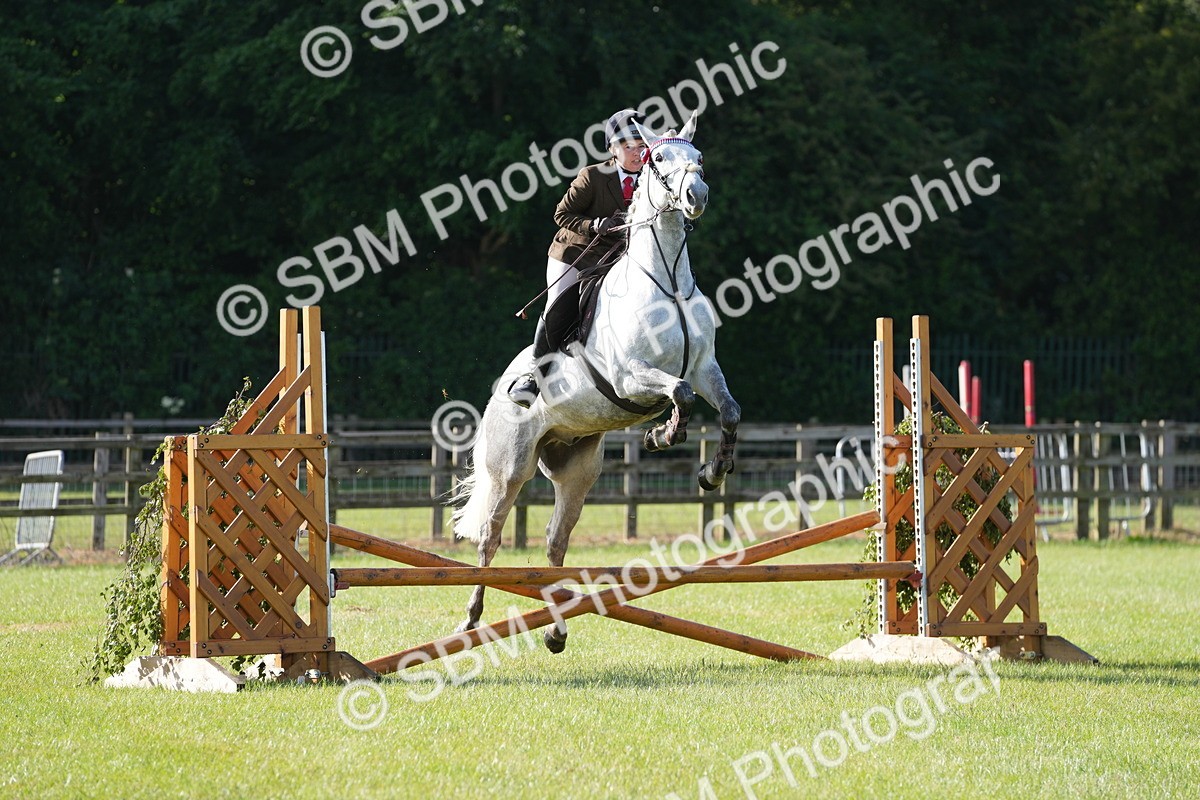 SBM_10491 - Class 97-98 - LIHS BSHA Rising Star Working Show Horse Hunter