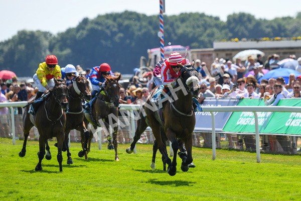 160623-Race 1-Menelaus-0172 - Race 1 1.50pm Andy Thornton Hospitality Furniture Apprentice Handicap