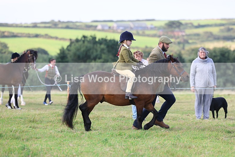 3E7A3542 - Class 2: Lead rein